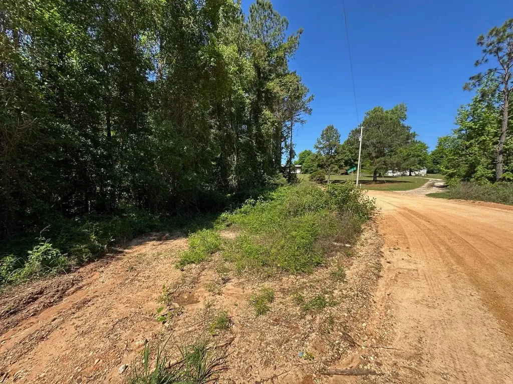 125 Bankston Road Jackson AL 36545