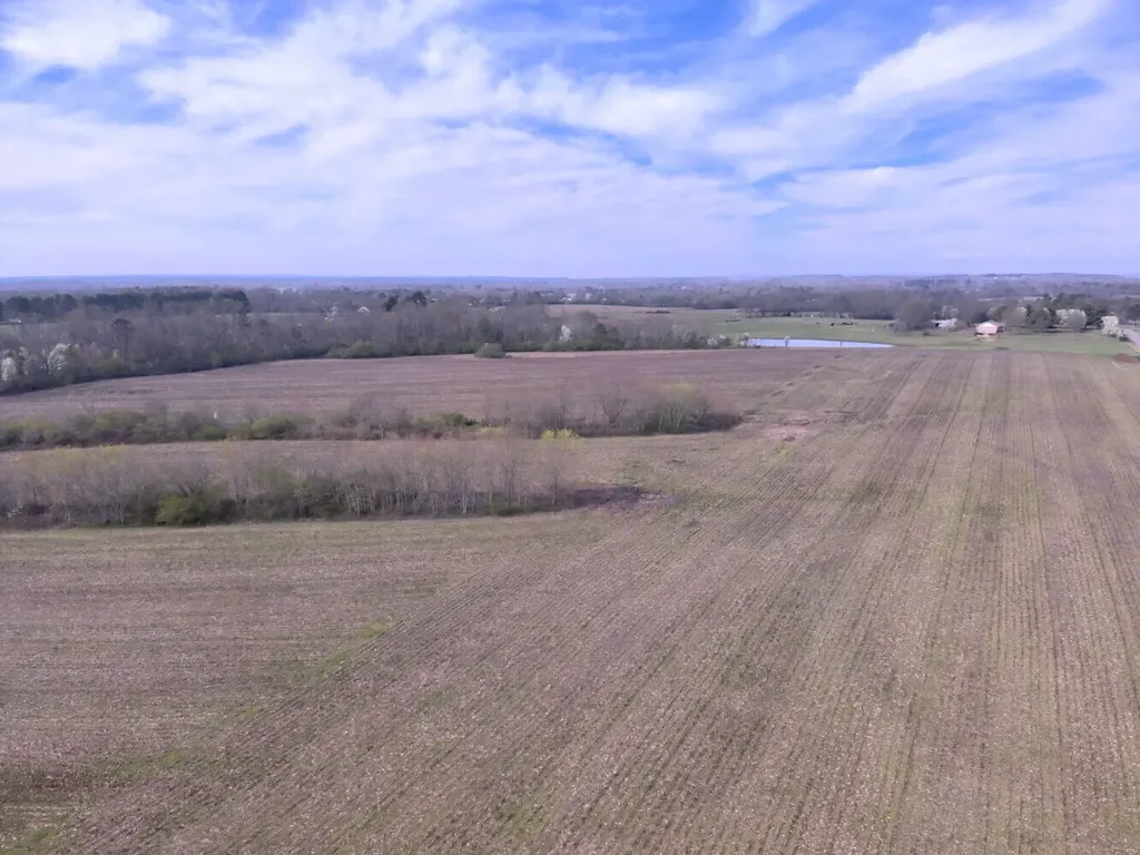 0 Co Road 154 Section AL 35771