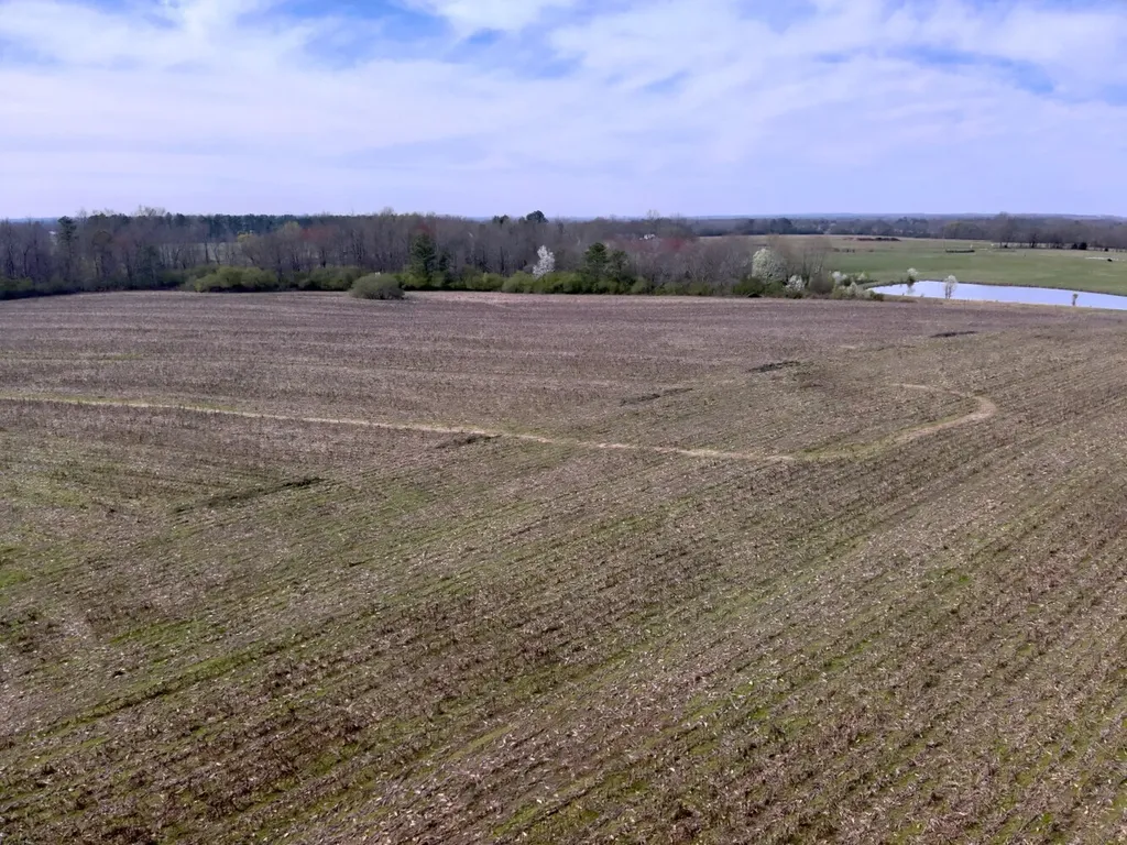 0 Co Road 154 Section AL 35771