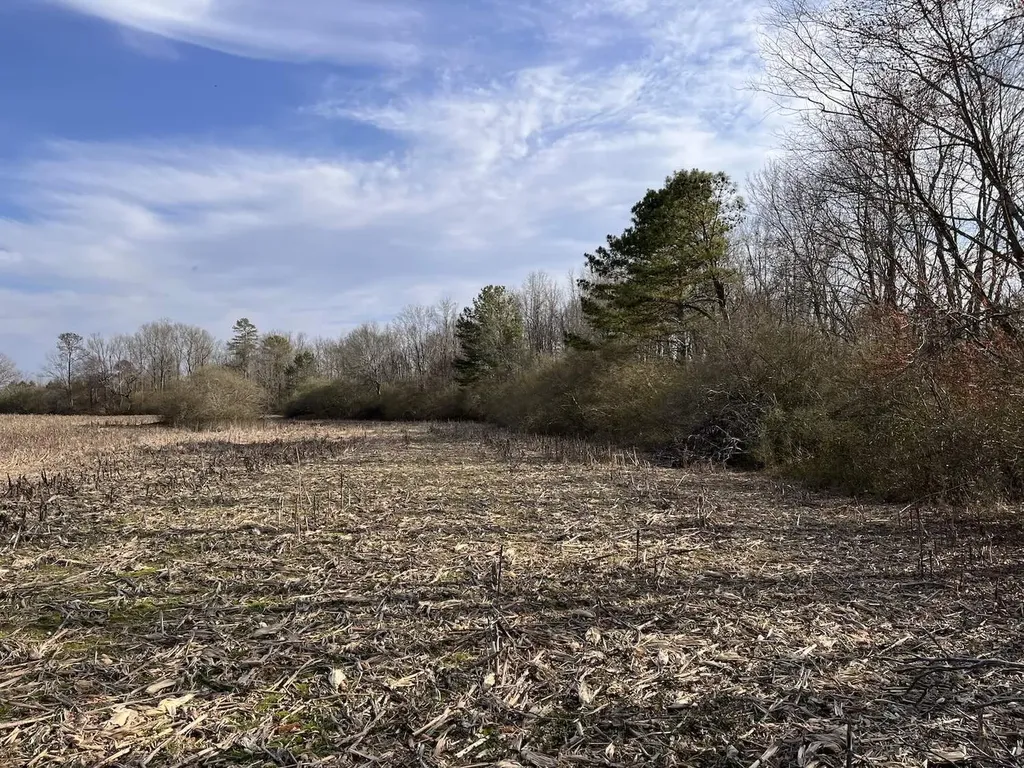 0 Co Road 154 Section AL 35771