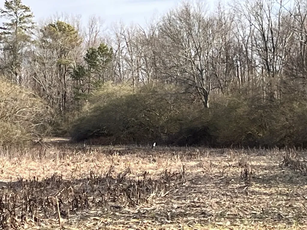 0 Co Road 154 Section AL 35771