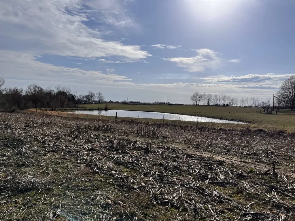 0 Co Road 154 Section AL 35771