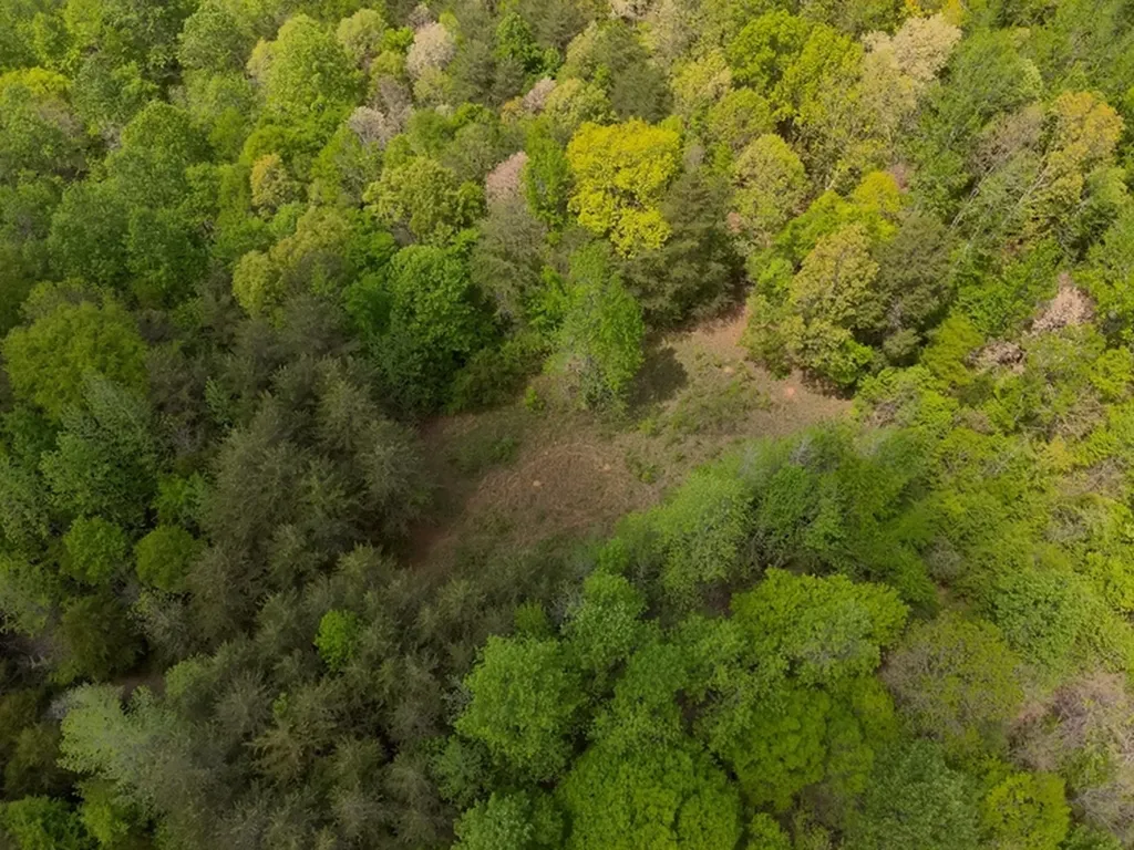 County Road 298 Florence AL 35634