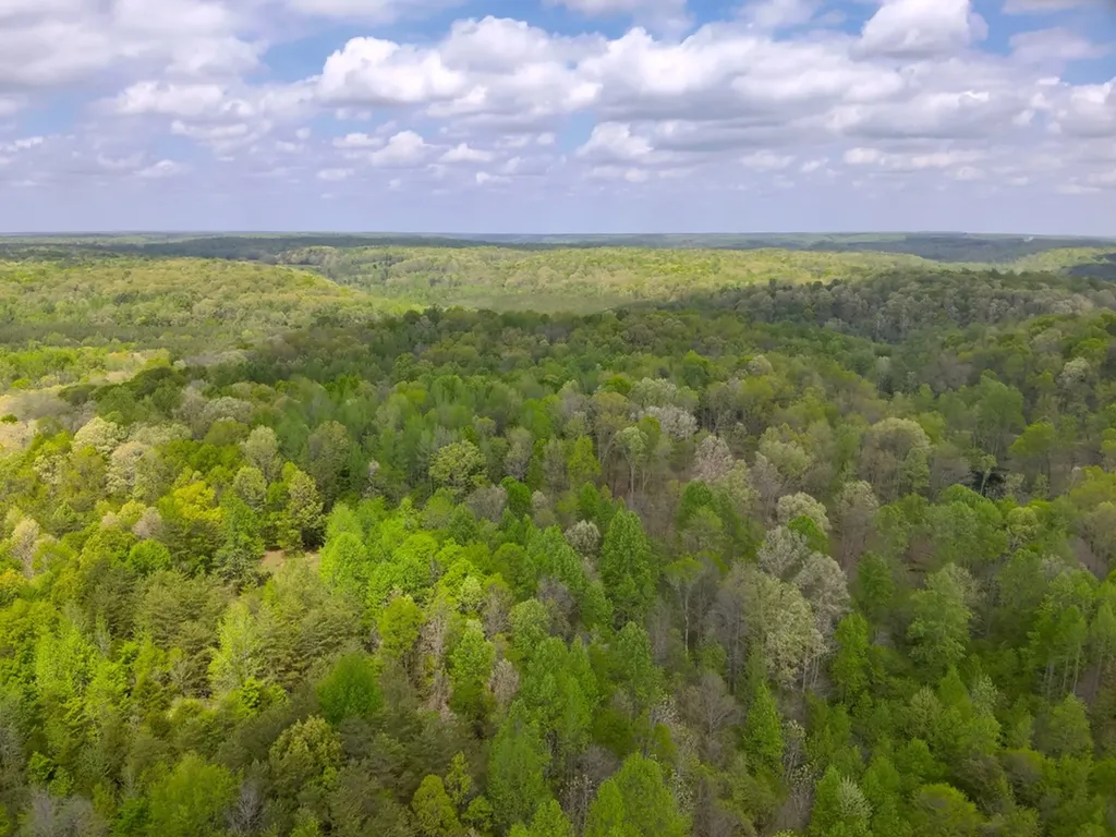 County Road 298 Florence AL 35634