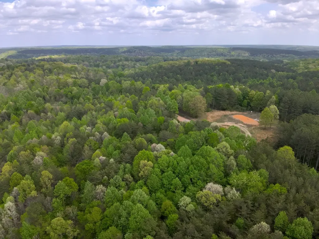 County Road 298 Florence AL 35634