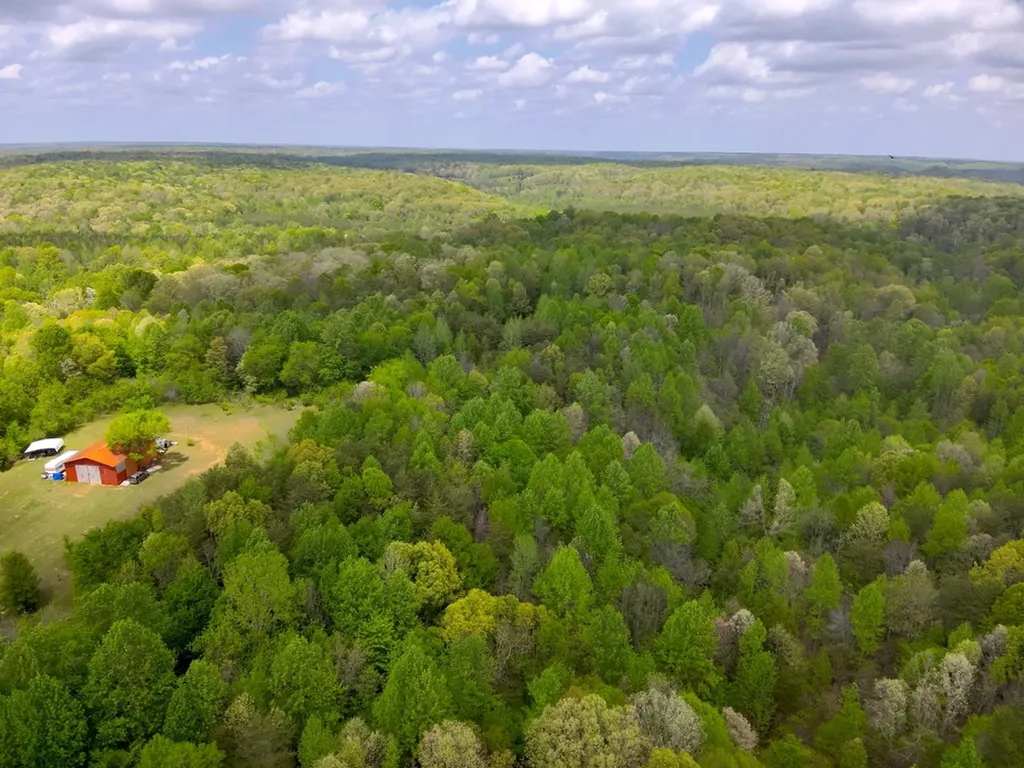 County Road 298 Florence AL 35634