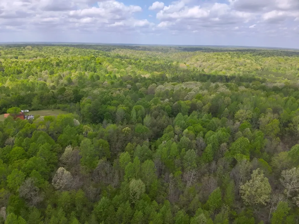 County Road 298 Florence AL 35634