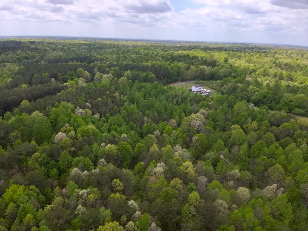 County Road 298 Florence AL 35634