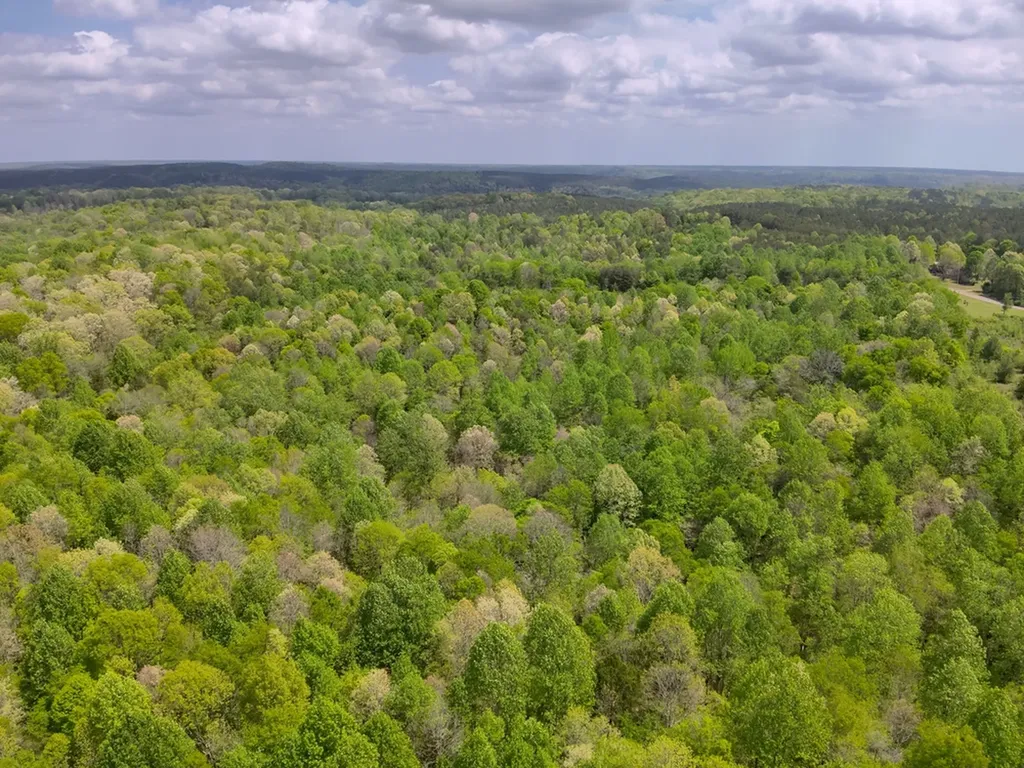 County Road 298 Florence AL 35634