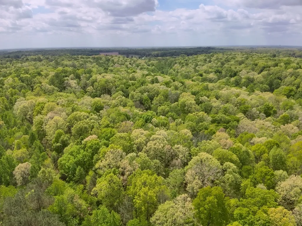 County Road 298 Florence AL 35634