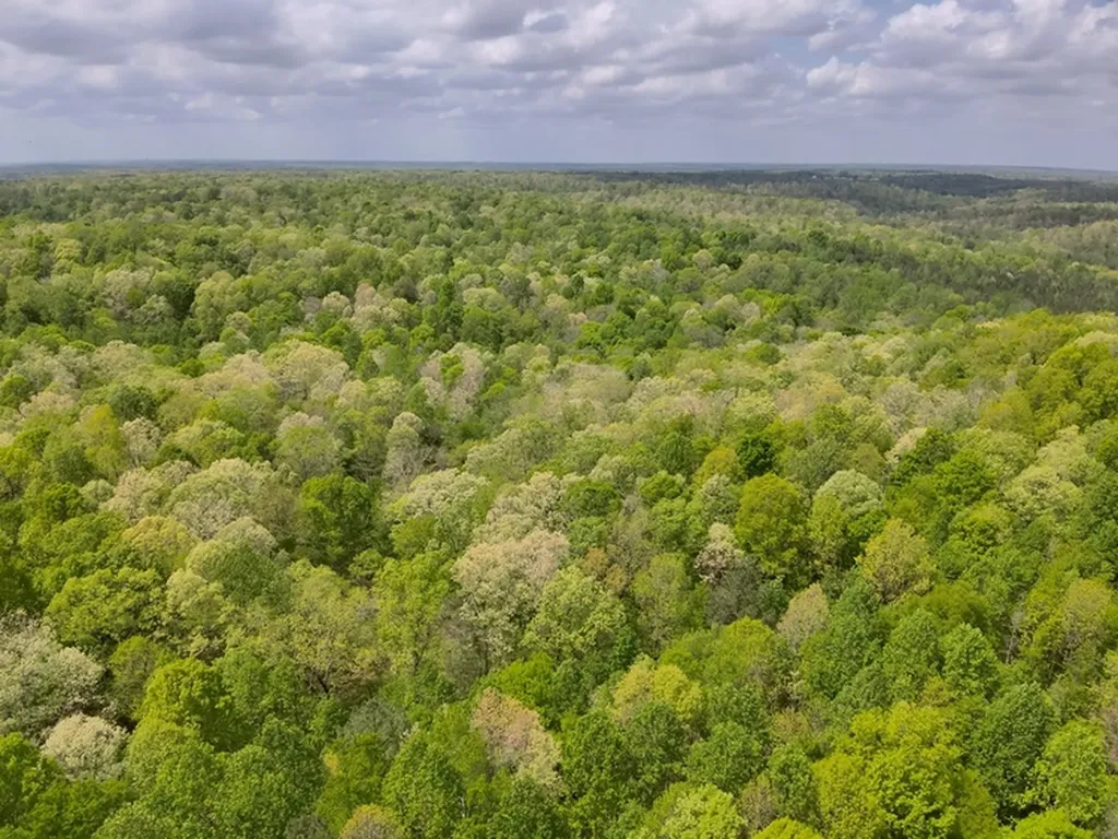 County Road 298 Florence AL 35634