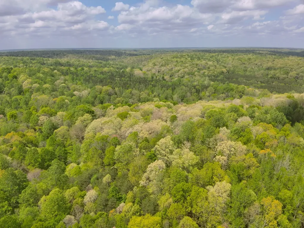 County Road 298 Florence AL 35634
