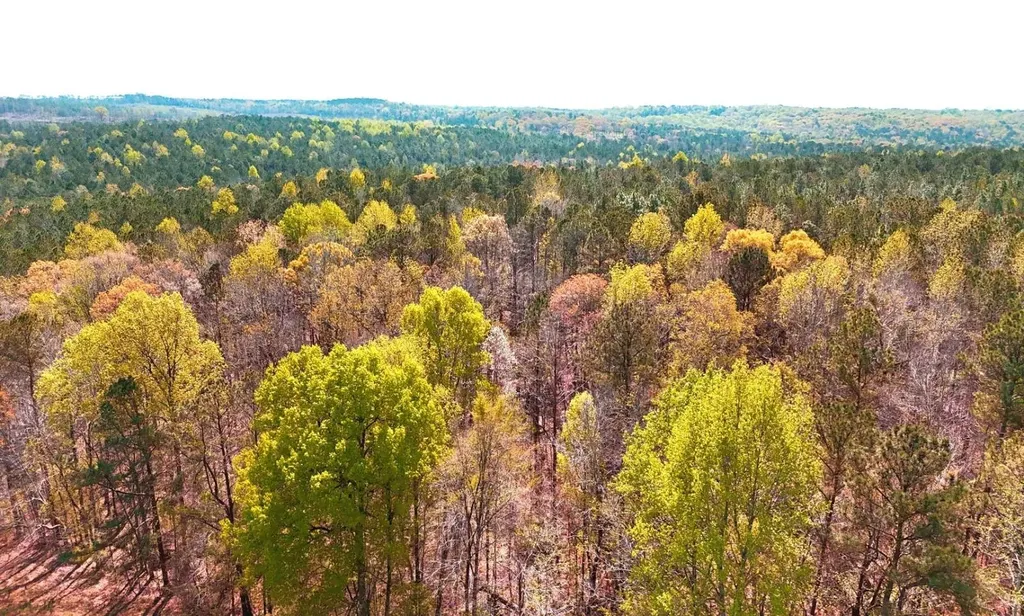 00 Firetower Road Wetumpka AL 36093