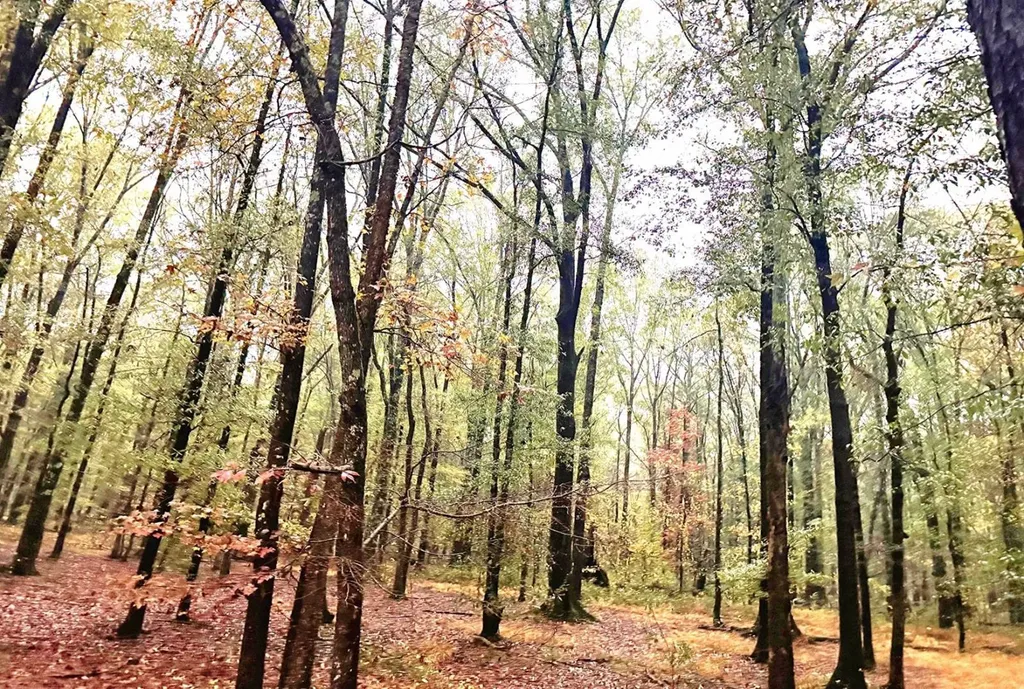 00 Firetower Road Wetumpka AL 36093