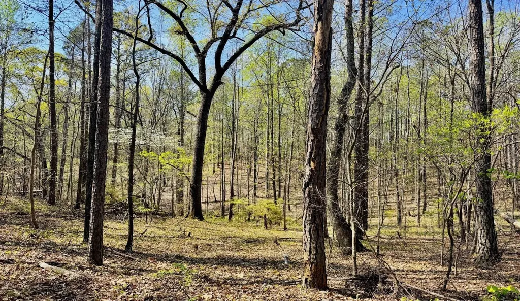 00 Firetower Road Wetumpka AL 36093