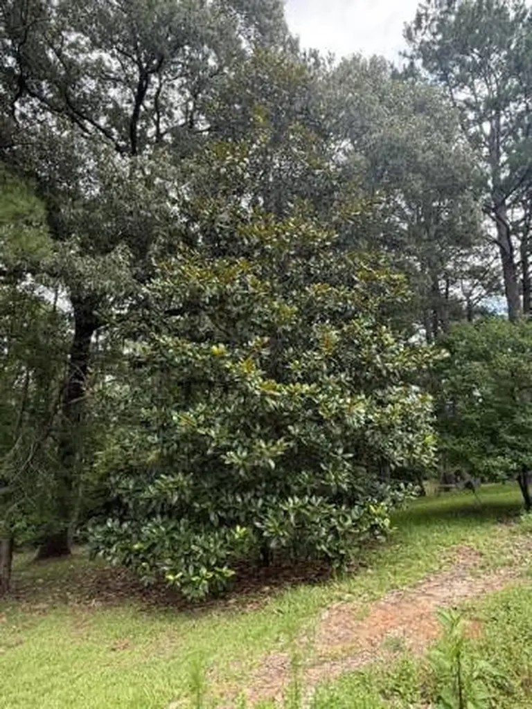 254 Antioch Road Grove Hill AL 36451