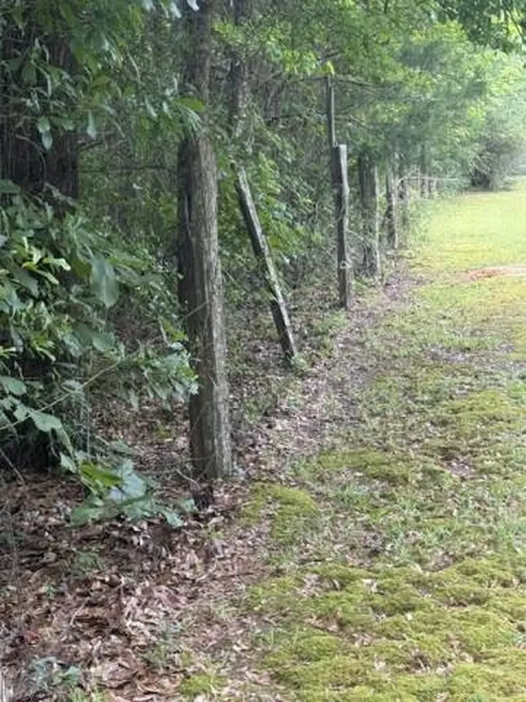 254 Antioch Road Grove Hill AL 36451