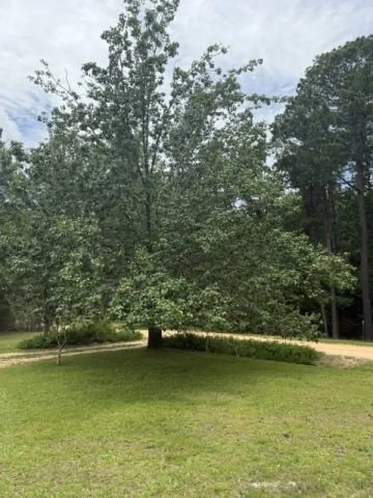 254 Antioch Road Grove Hill AL 36451
