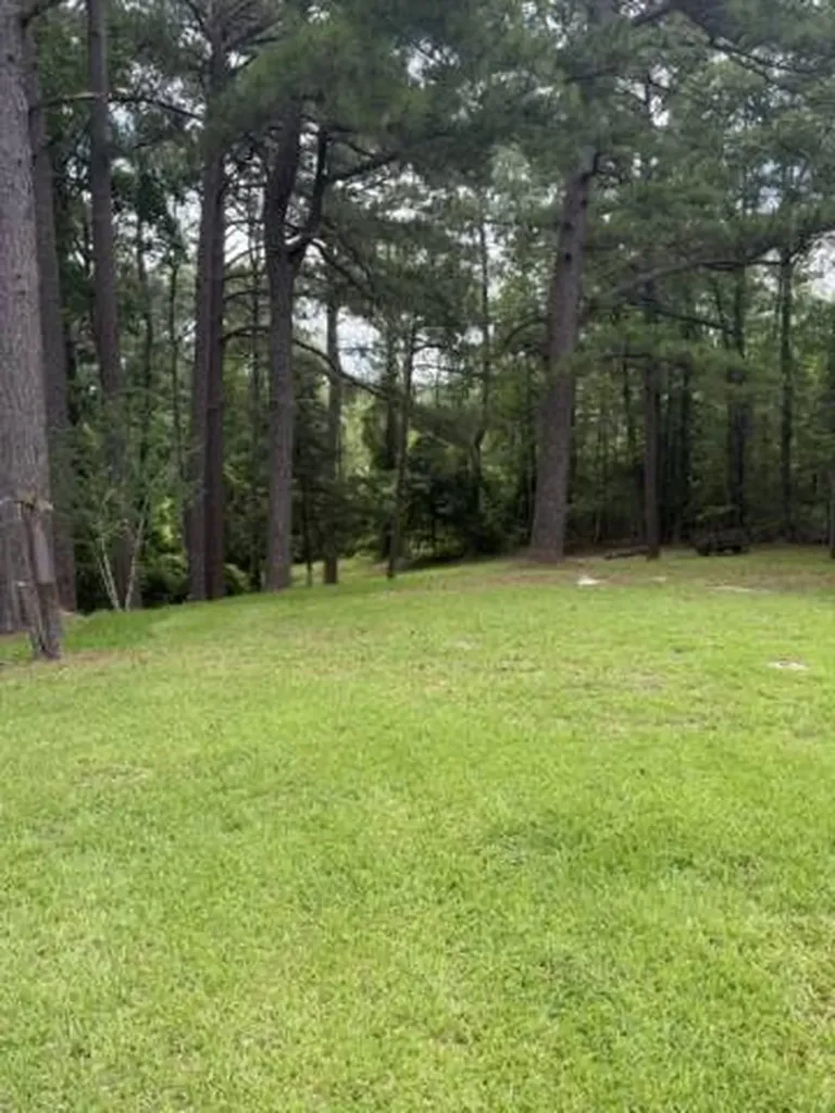 254 Antioch Road Grove Hill AL 36451