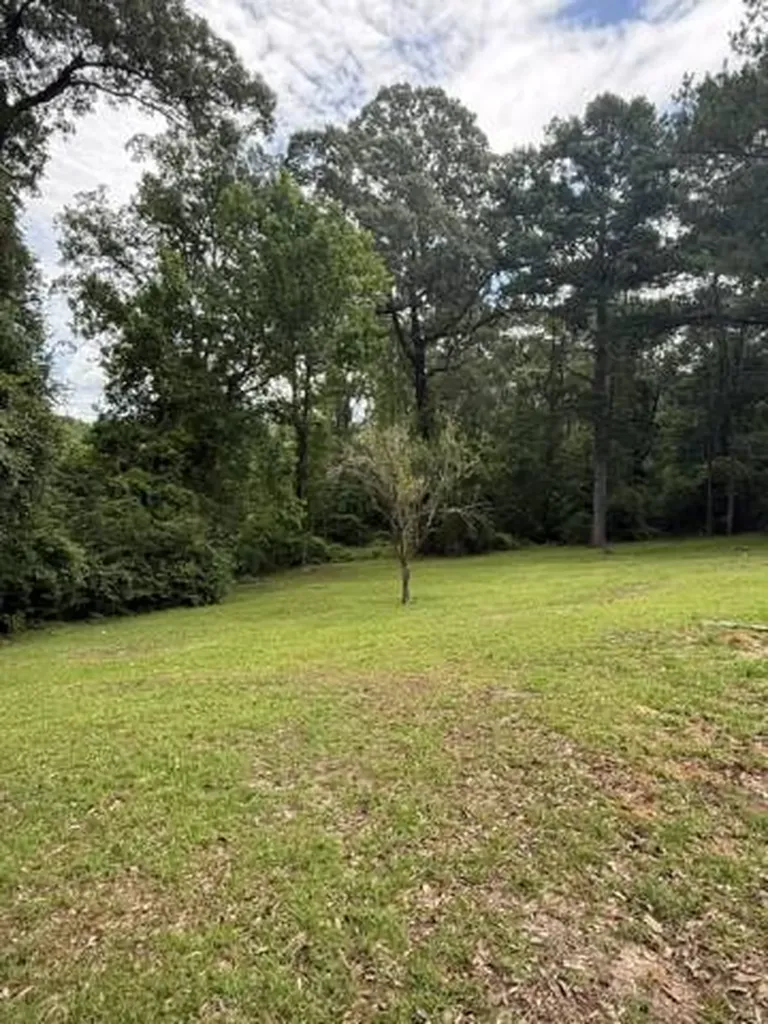 254 Antioch Road Grove Hill AL 36451