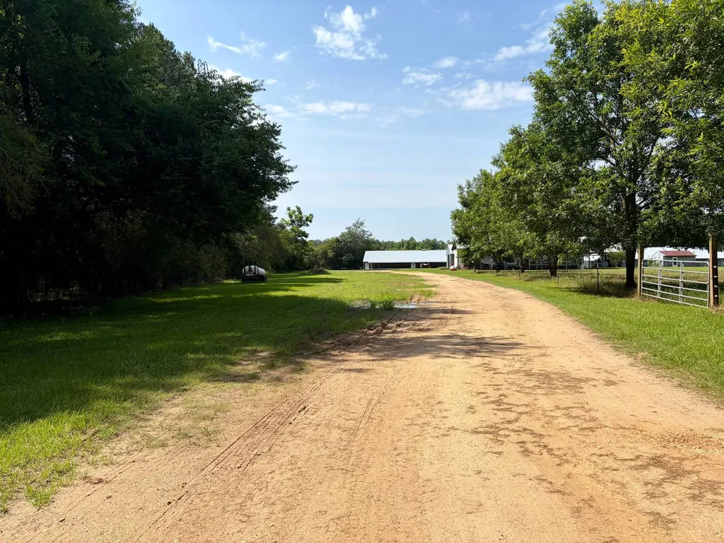 897 South Butler Springs Road Forest Home AL 36030