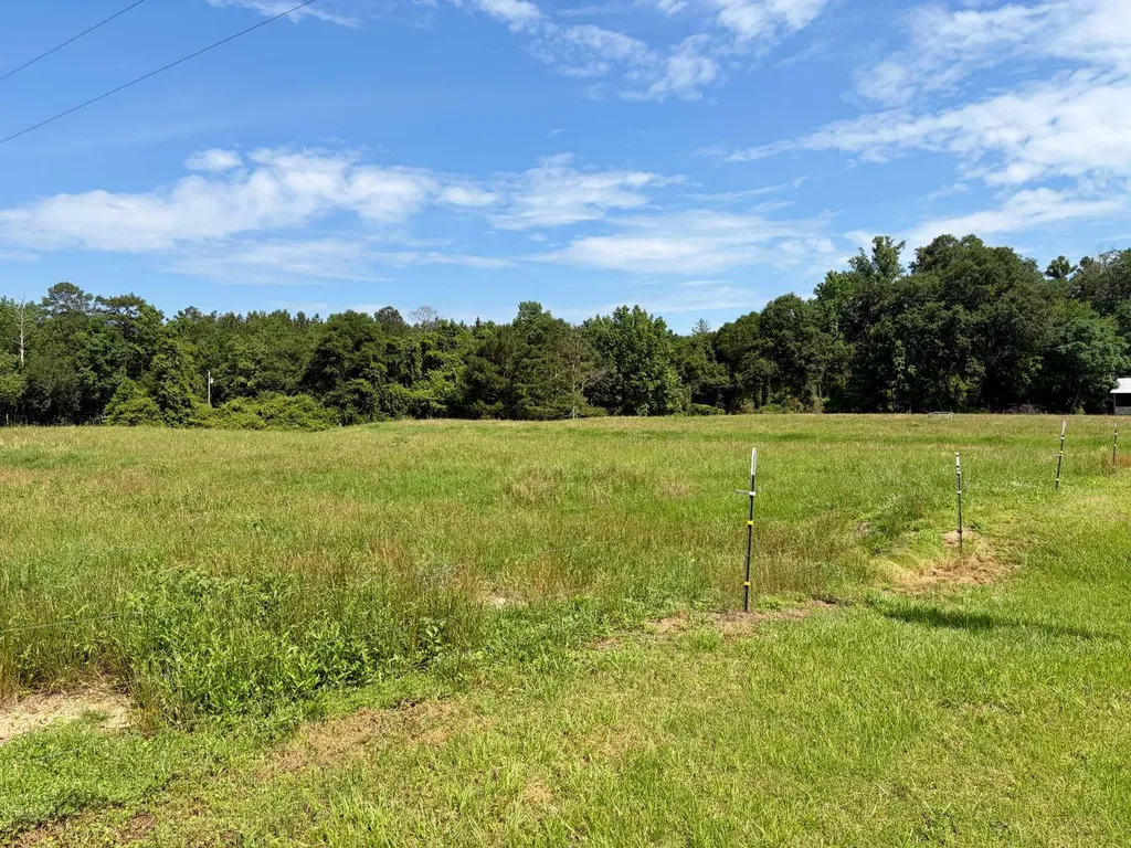 897 South Butler Springs Road Forest Home AL 36030