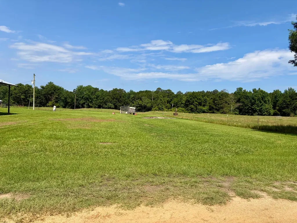 897 South Butler Springs Road Forest Home AL 36030