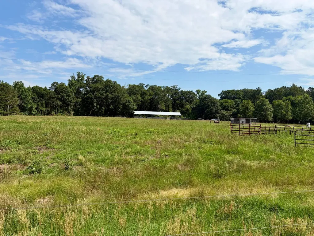 897 South Butler Springs Road Forest Home AL 36030