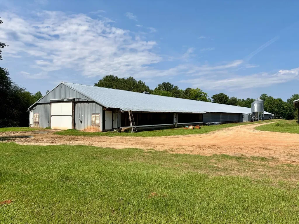 897 South Butler Springs Road Forest Home AL 36030