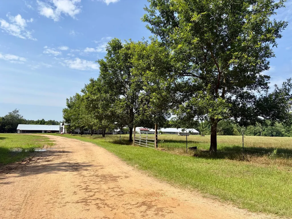 897 South Butler Springs Road Forest Home AL 36030