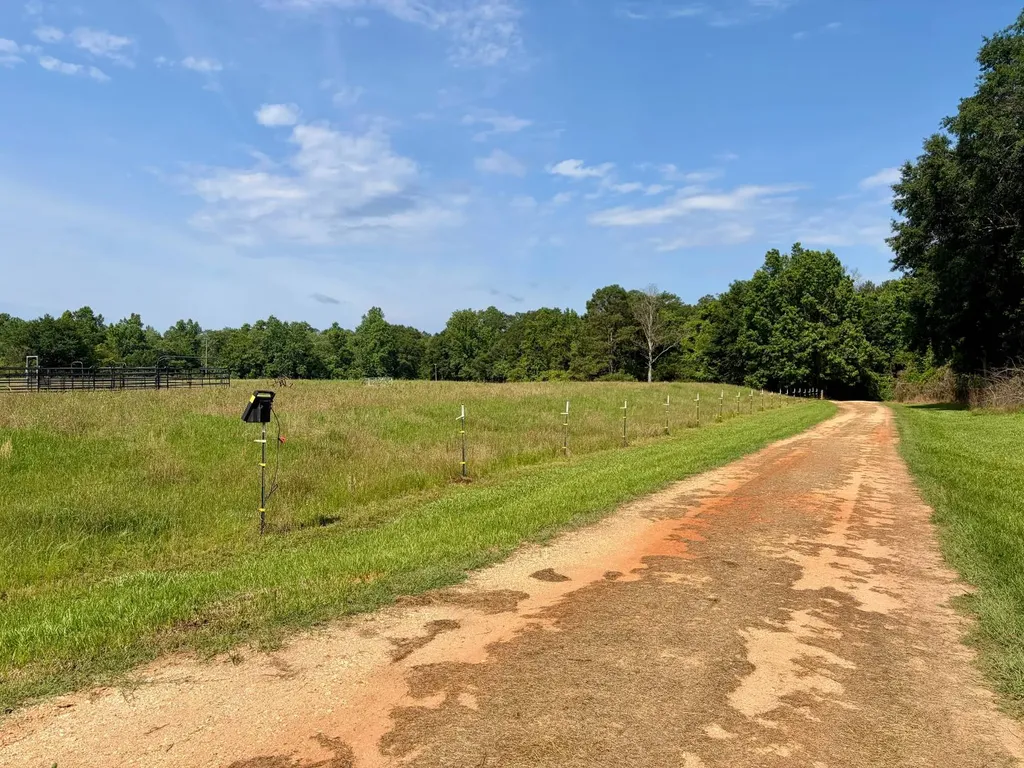 897 South Butler Springs Road Forest Home AL 36030
