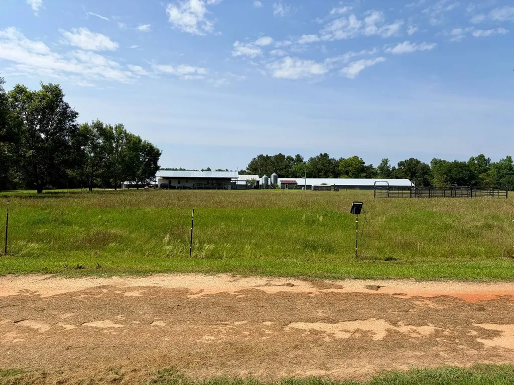 897 South Butler Springs Road Forest Home AL 36030