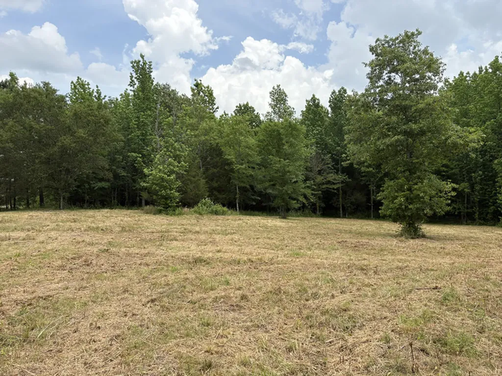 1189 Mulberry Road Hazel Green AL 35750
