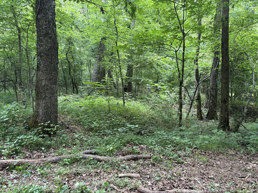1189 Mulberry Road Hazel Green AL 35750