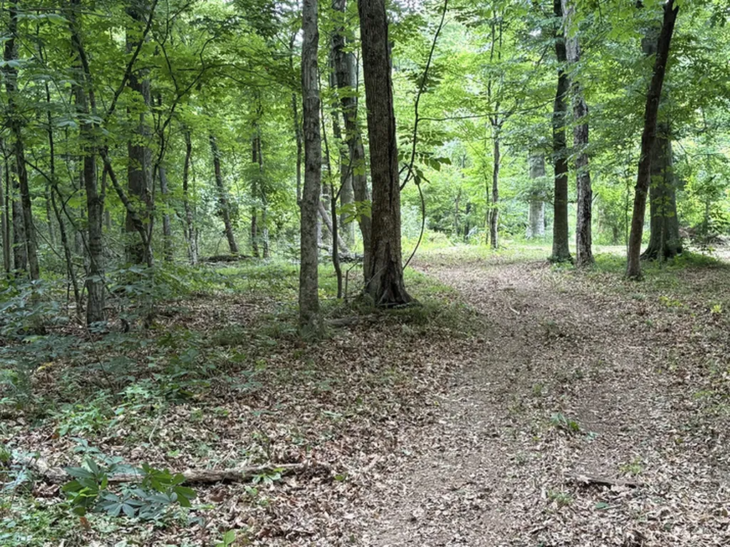 1189 Mulberry Road Hazel Green AL 35750