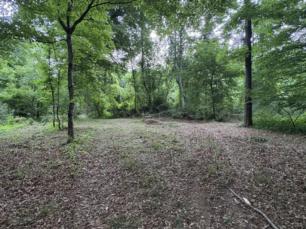 1189 Mulberry Road Hazel Green AL 35750