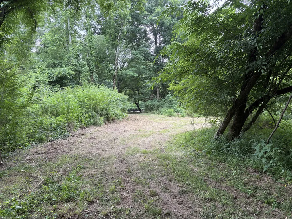 1189 Mulberry Road Hazel Green AL 35750