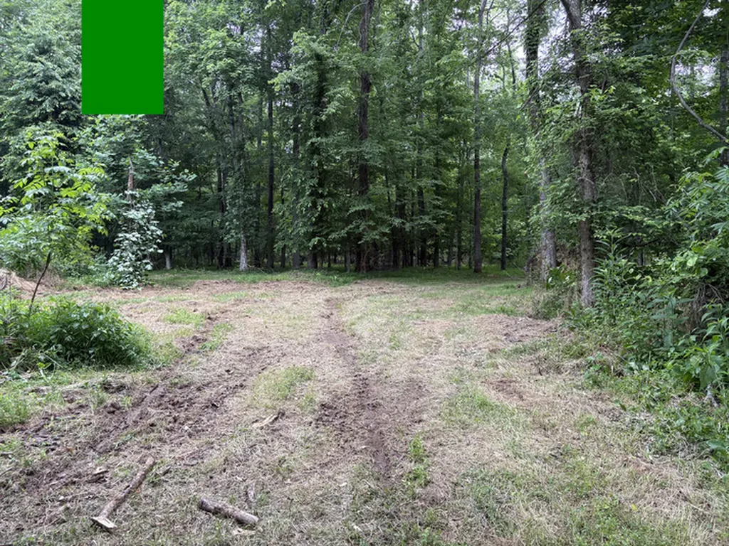 1189 Mulberry Road Hazel Green AL 35750