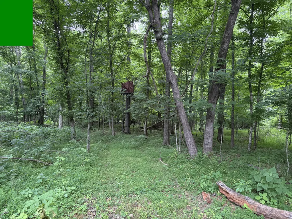 1189 Mulberry Road Hazel Green AL 35750