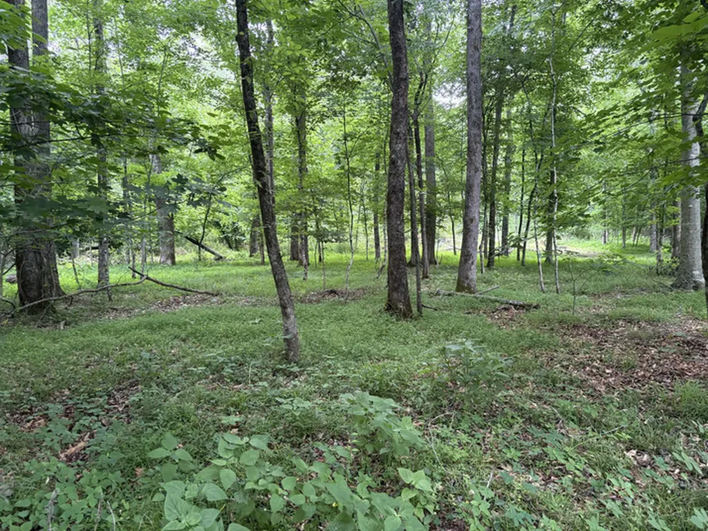 1189 Mulberry Road Hazel Green AL 35750