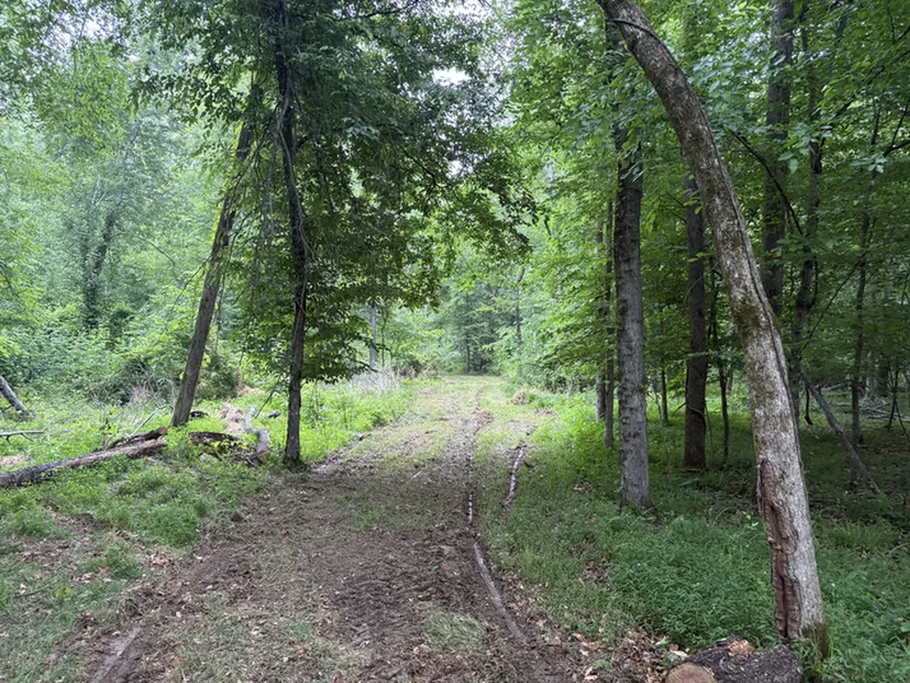 1189 Mulberry Road Hazel Green AL 35750