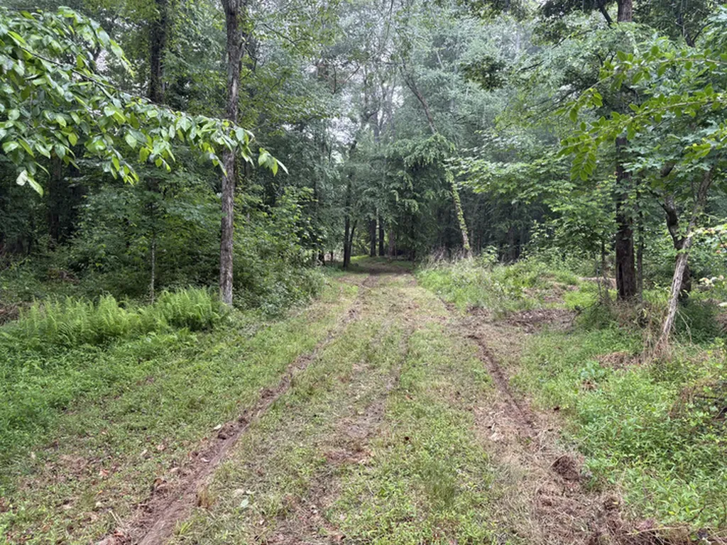 1189 Mulberry Road Hazel Green AL 35750