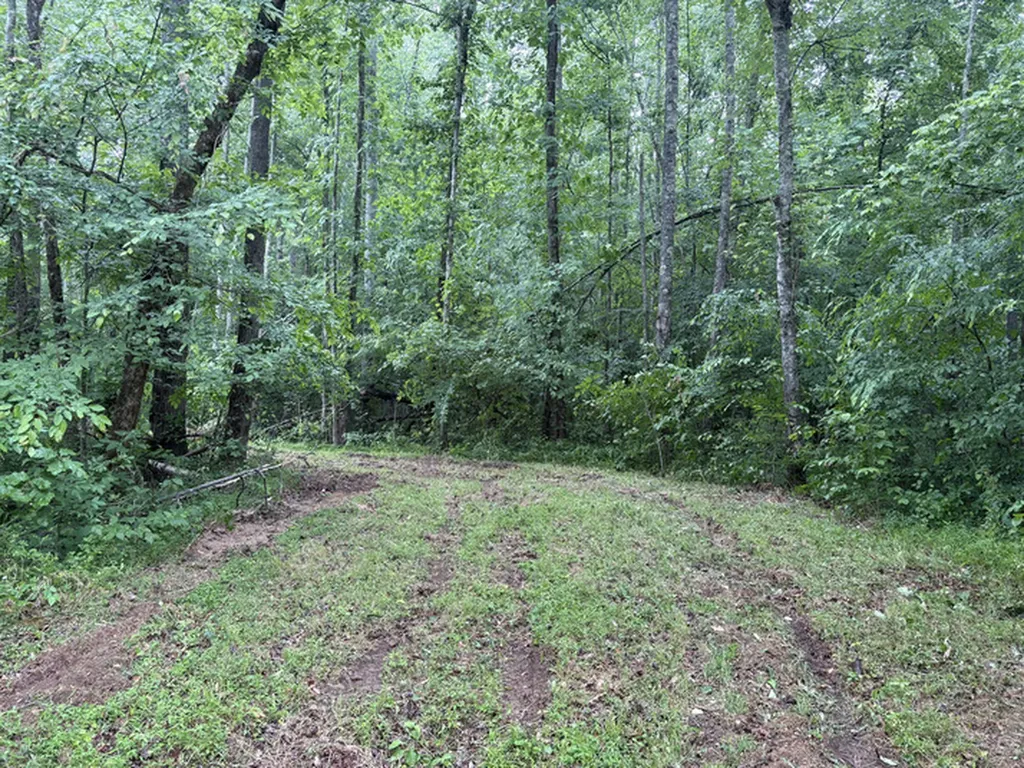 1189 Mulberry Road Hazel Green AL 35750
