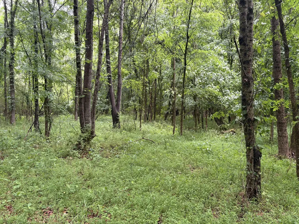 1189 Mulberry Road Hazel Green AL 35750