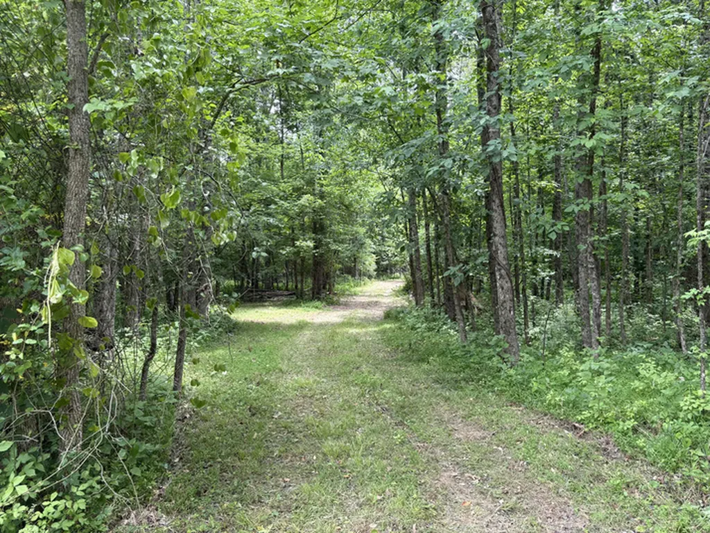 1189 Mulberry Road Hazel Green AL 35750