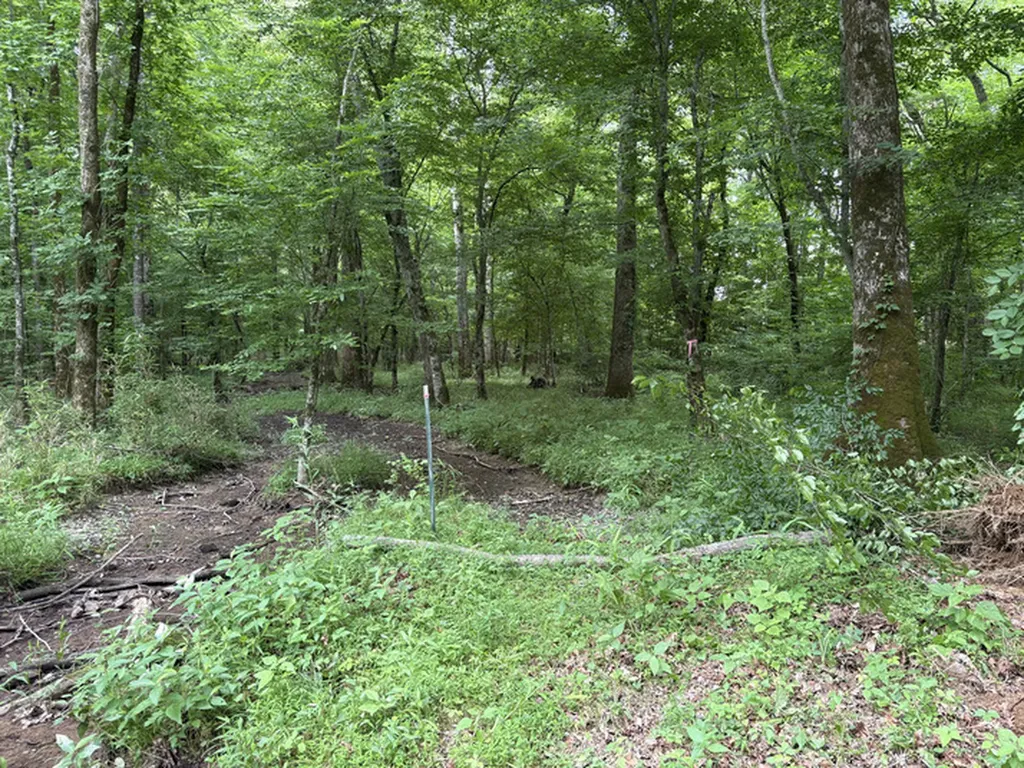 1189 Mulberry Road Hazel Green AL 35750