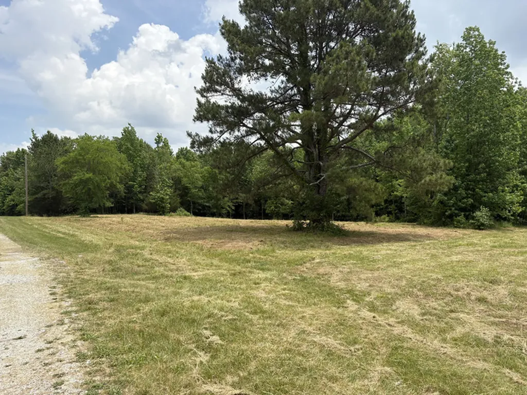 1189 Mulberry Road Hazel Green AL 35750