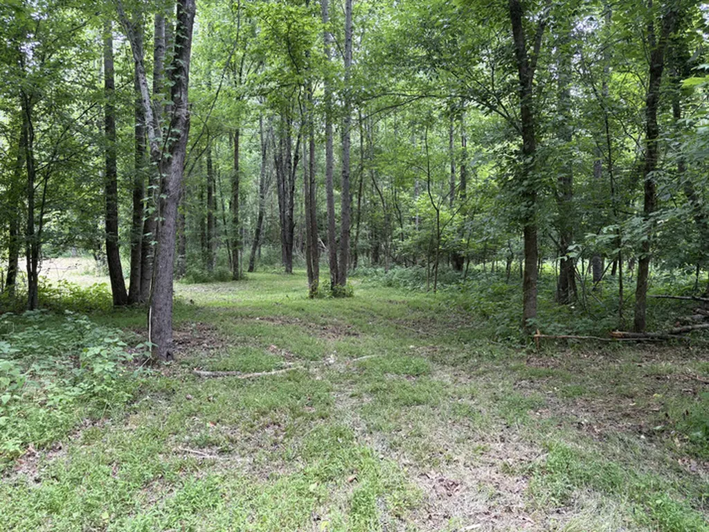 1189 Mulberry Road Hazel Green AL 35750