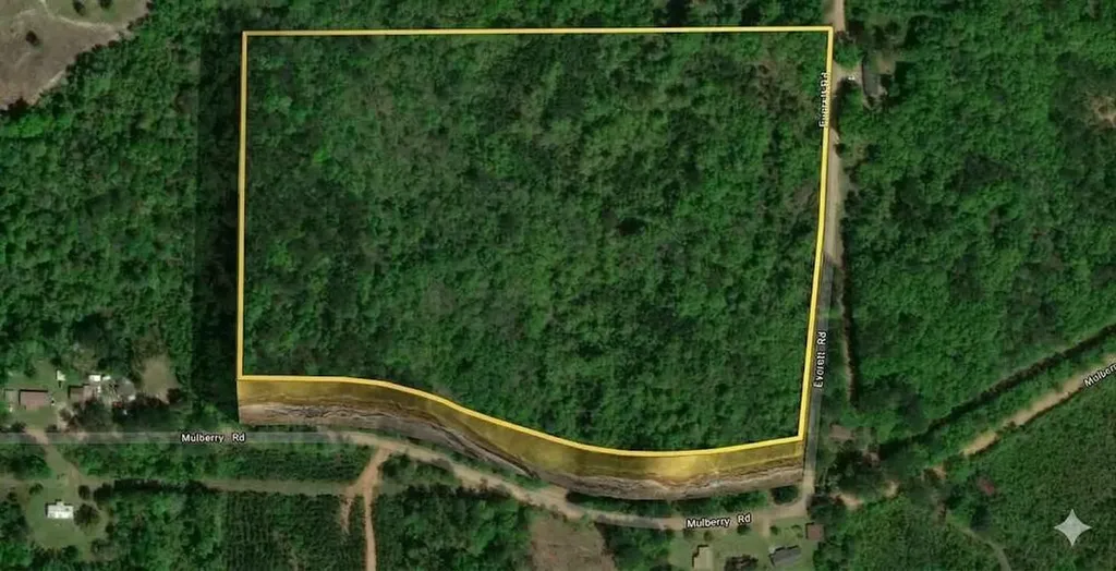 0 Mulberry/moore Road Brantley AL 36009