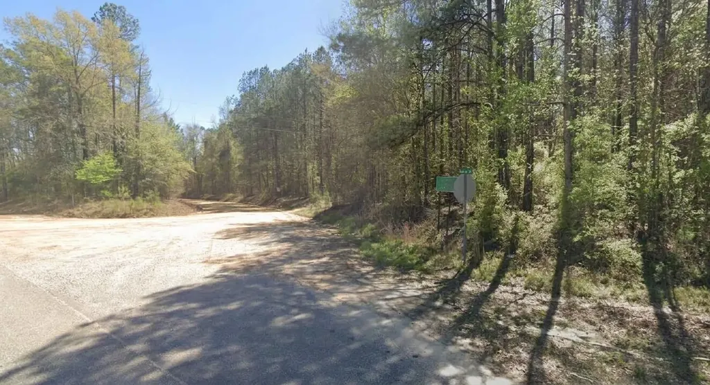 0 Mulberry/moore Road Brantley AL 36009